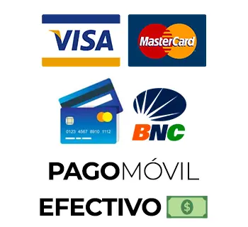 Visa